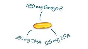 vegan alternative to fish oil