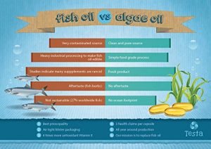 vegan omega 3 dha epa