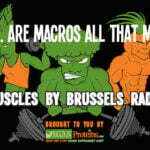 Episode 57. Are Macros All That Matter?